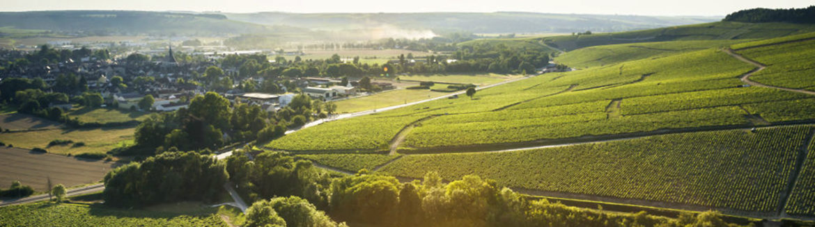 banniere-Chablis-Grand-Cru-morceau-Blanchot-CP-BIVB-Ibanez-A2.jpg