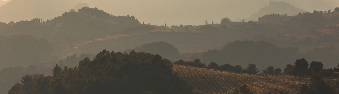 banniere-InterRhone_Ventoux4_David-Bouscarle.jpg