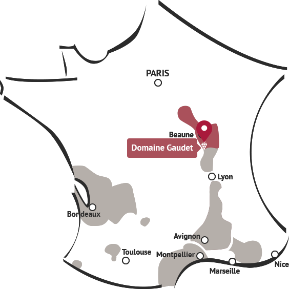 domaine-gaudet.png